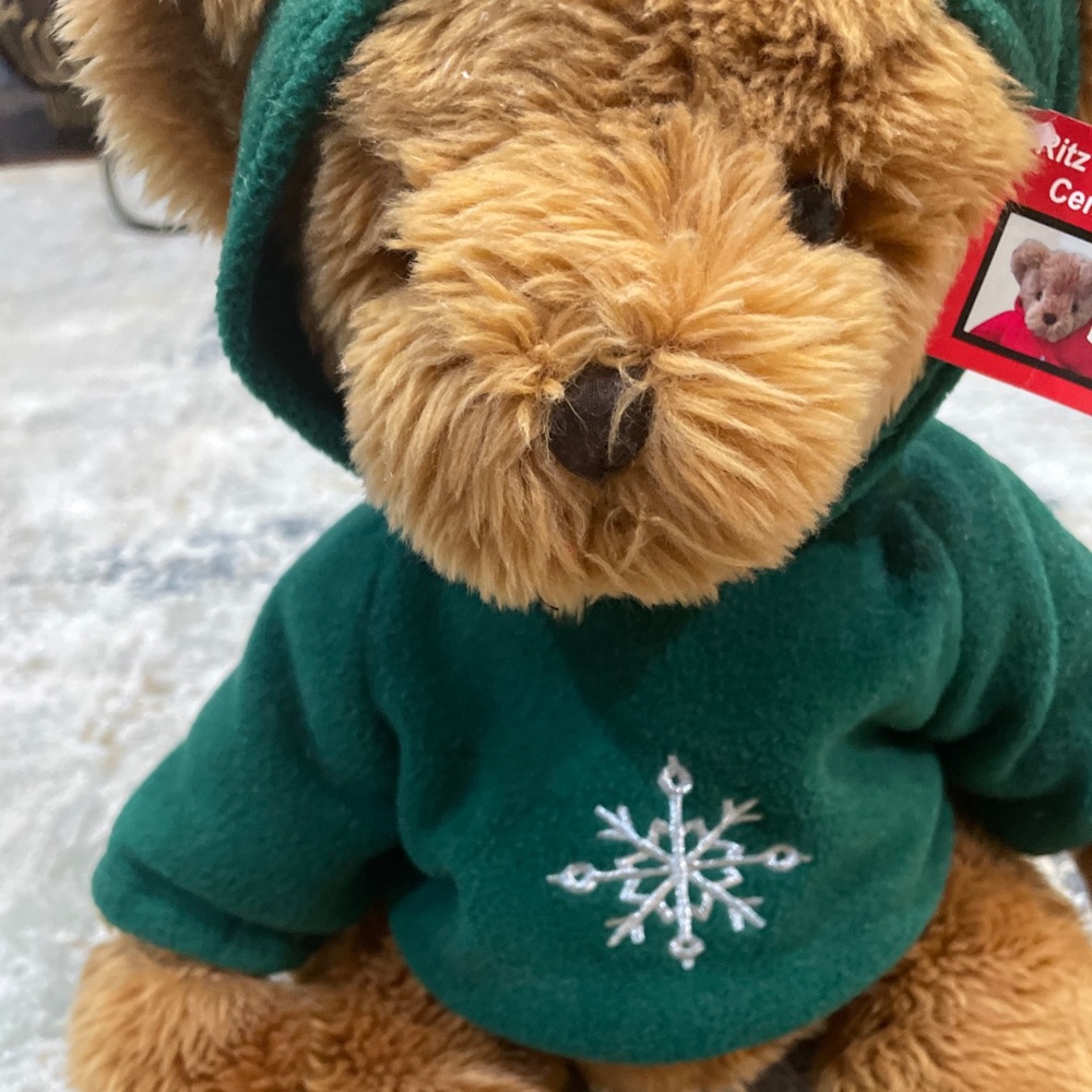 Green Hooded Teddy Bear with Snowflake Embroidery